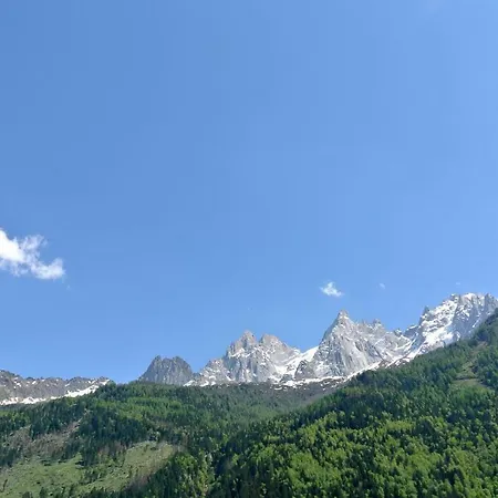 Apartament Les Alpes Chamonix